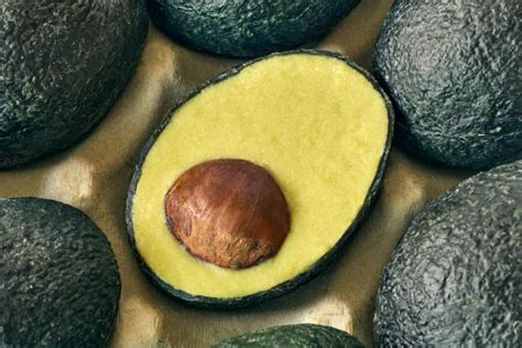are avocados fake